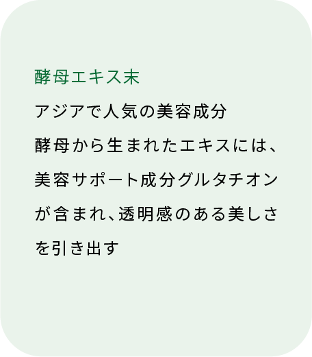 酵母エキス末 グルタチオンを含む酵素（裏面）